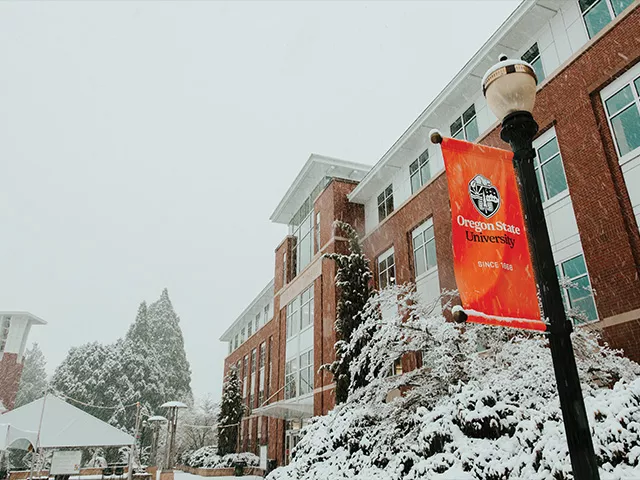 Valley Library