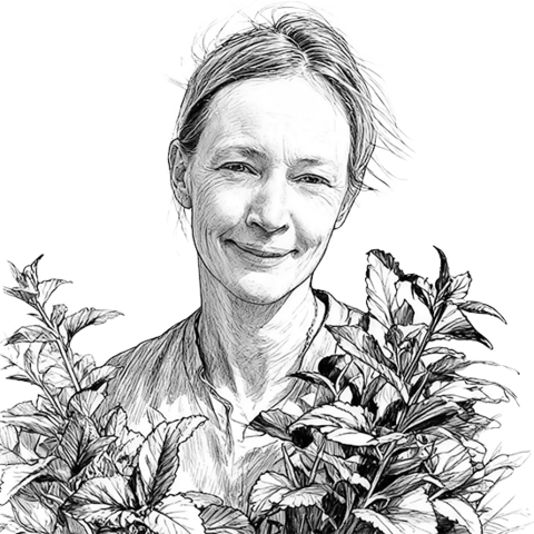 Sketch of Maud Powell